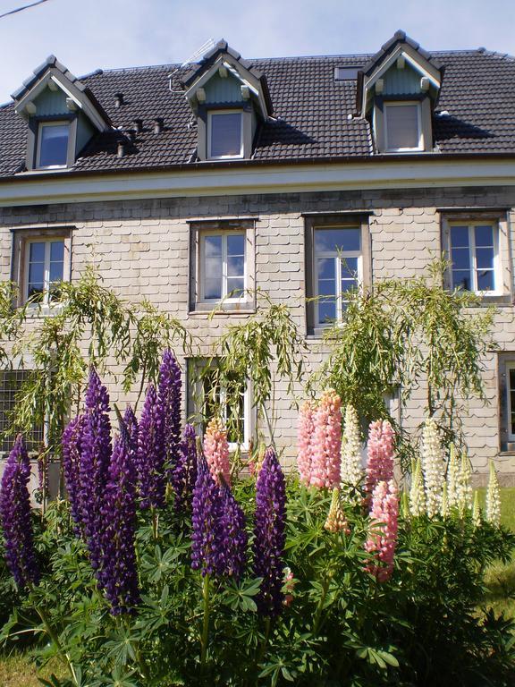 Chambres D'Hotes Le Clos Des Lesses Fresse-sur-Moselle ภายนอก รูปภาพ